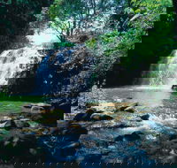 Pepina Falls - Palm Beach Accommodation