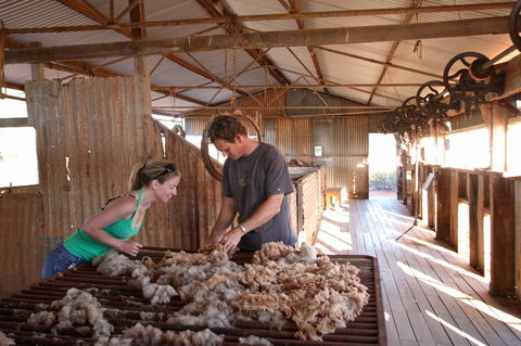 Peron Homestead - Palm Beach Accommodation 0