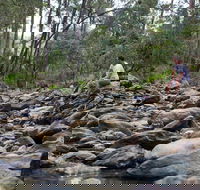 Rocksberg Park Heritage Reserve - Palm Beach Accommodation