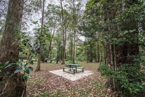 Rocksberg Park Heritage Reserve - Palm Beach Accommodation 1