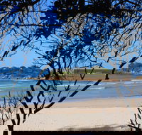 Sandon Beach - Palm Beach Accommodation