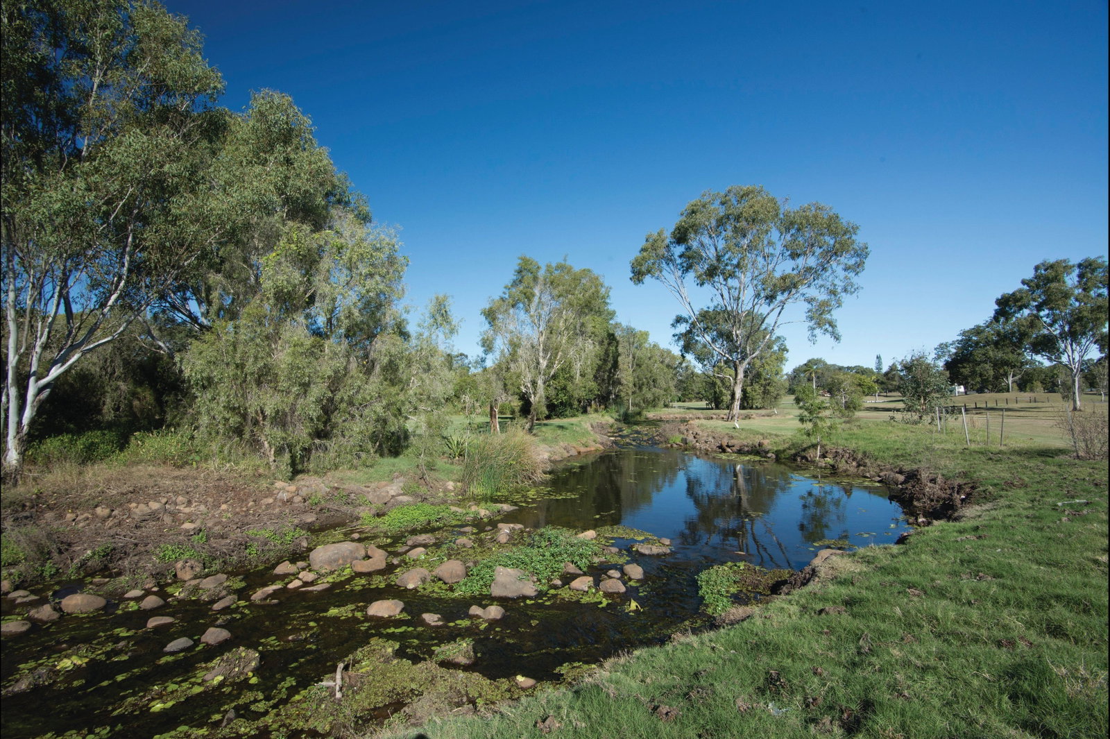 Alloway QLD Palm Beach Accommodation