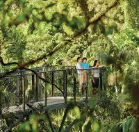 Tamborine Mountain - Palm Beach Accommodation