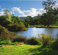 Tasmanian Arboretum Inc. - The - Palm Beach Accommodation