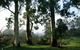Tasmanian Arboretum Inc. - The - thumb 1