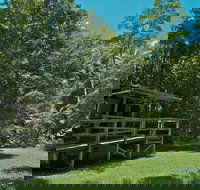 Terania Creek Picnic Area - Palm Beach Accommodation