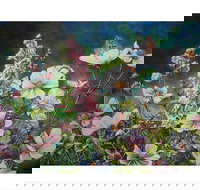 The Homestead Gallery - Palm Beach Accommodation