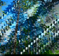 The Four Aces - Palm Beach Accommodation