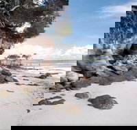 Tinnanbar - Palm Beach Accommodation