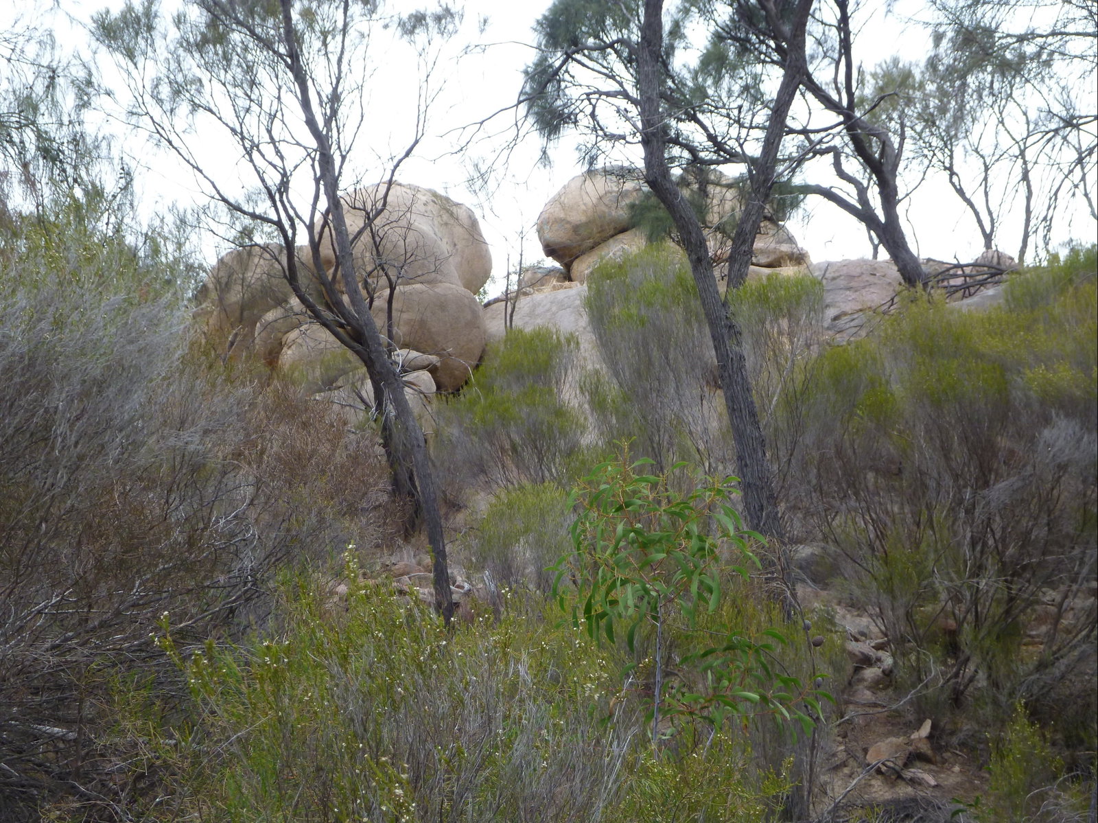 Colebatch SA Palm Beach Accommodation