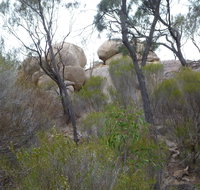 Tolmer Rocks - Mount Boothby Conservation Park - Palm Beach Accommodation