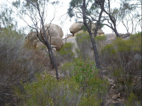 Tolmer Rocks - Mount Boothby Conservation Park - Palm Beach Accommodation 0