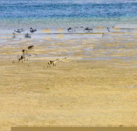 Towra Beach - Palm Beach Accommodation