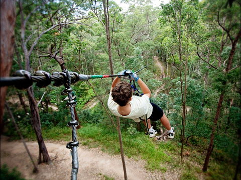 TreeTop Challenge - Palm Beach Accommodation 0
