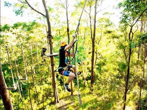 TreeTop Challenge - Palm Beach Accommodation 1