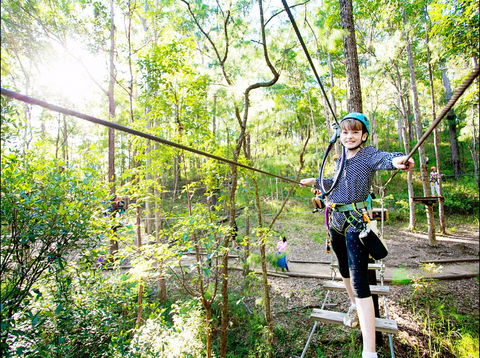 TreeTop Challenge - Palm Beach Accommodation 2