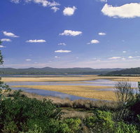 Wallagoot Lake Picnic Area and Boat Ramp - Palm Beach Accommodation