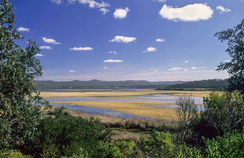 Wallagoot Lake Picnic Area And Boat Ramp - Palm Beach Accommodation 0