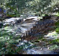 Washpools waterhole - Palm Beach Accommodation