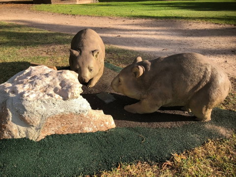 Wombat Statues, Moonta - Palm Beach Accommodation 0