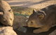Wombat Statues, Moonta - thumb 1