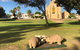 Wombat Statues, Moonta - thumb 2