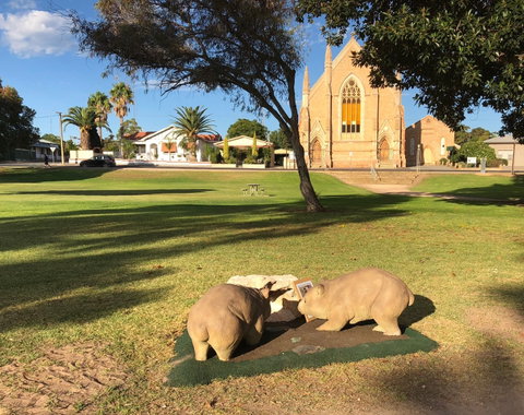 Wombat Statues, Moonta - Palm Beach Accommodation 2