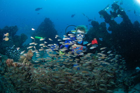 Aarhus Dive Site - Palm Beach Accommodation 0