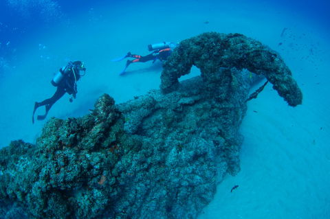 Aarhus Dive Site - Palm Beach Accommodation 1