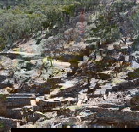 Adelong Falls Gold Mill Ruins - Palm Beach Accommodation