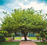 Ainslie  Gorman Arts Centres - Palm Beach Accommodation