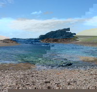 Bass Point Reserve - Palm Beach Accommodation