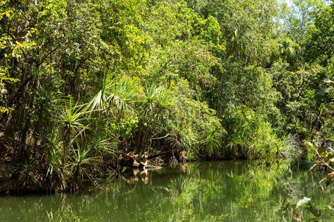 Berry Springs Nature Park - Palm Beach Accommodation 0