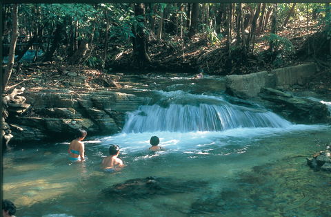 Berry Springs Nature Park - Palm Beach Accommodation 2