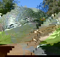 Big Murray Cod - Palm Beach Accommodation