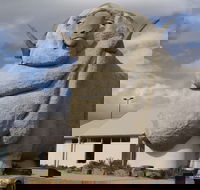 Big Merino - Palm Beach Accommodation