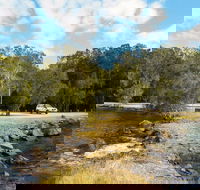 Brunswick River Picnic Area - Palm Beach Accommodation