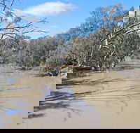 Bush Tucker Trail - Palm Beach Accommodation