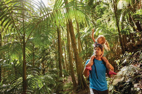 Canungra - Palm Beach Accommodation 0