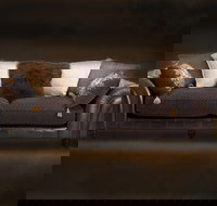 Cargo Lane - Palm Beach Accommodation