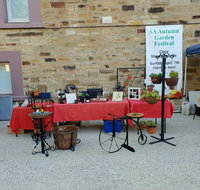 Clare Show Market