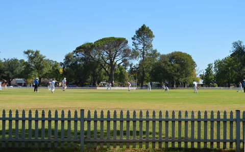 Cootamundra Cricketing Exploration - Palm Beach Accommodation 0