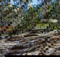 Couridjah Corridor Walk - Palm Beach Accommodation
