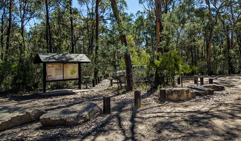 Couridjah Corridor Walk - Palm Beach Accommodation 0