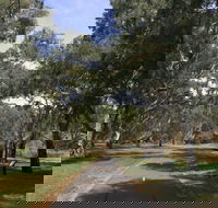 Dead Mans Pass - Palm Beach Accommodation