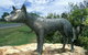 Dingo Statue - thumb 0