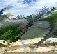 Dingo Statue - Palm Beach Accommodation