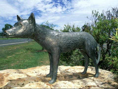 Dingo Statue - Palm Beach Accommodation 0