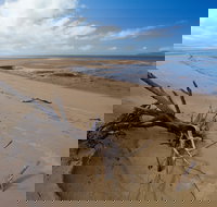 Edmund Kennedy Girramay National Park - Palm Beach Accommodation