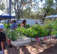 Fernvale Country Markets - Palm Beach Accommodation